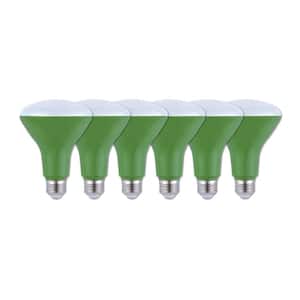 65-Watt Equivalent BR30 Flood LED Grow Light Bulb (6-Pack)