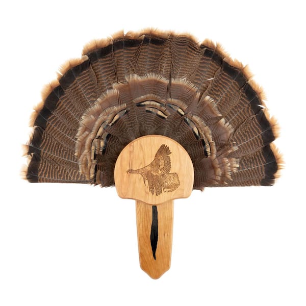 Walnut Hollow Solid Cherry Turkey Mount Kit with Taking Flight Engraving