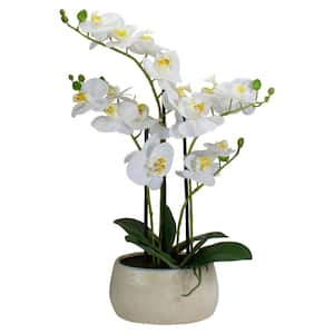 22 in. Artificial White and Yellow Orchid Plant With a White Oval Pot Tabletop Decor