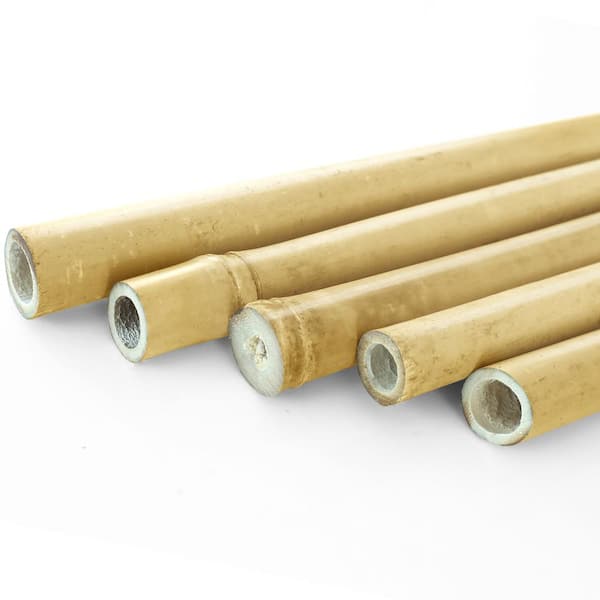 Ecostake 6 ft. x 1 in. Natural Bamboo  Garden Plant Stakes for Climbing Support for Tomatoes, Trees, Beans (25-Pack)