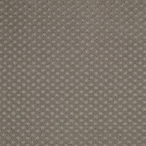 Transcends Time Sea Stone Gray 39 oz. Triexta Pattern Installed Carpet