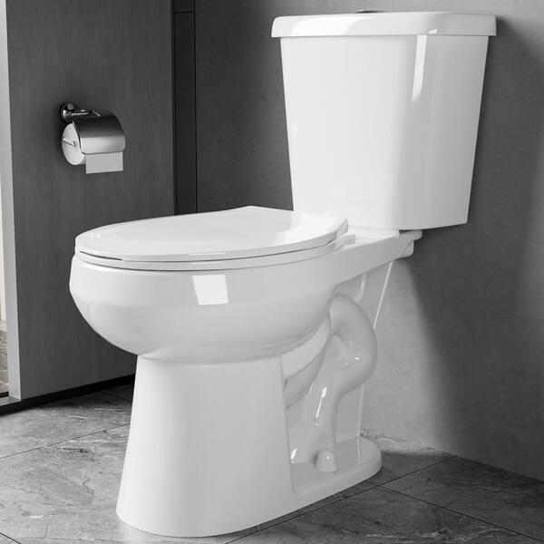 Unbranded - 17 in. ADA Toilet 1.0/1.28 GPF Dual Flush Comfort Height 2-Piece Toilet Round Toilet in White with Soft Close Seat