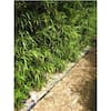 SEALTECH Premium 5 Ft. X 50 Ft. Pro Garden Weed Barrier Landscape Fabric 3 5 Oz Heavy Duty Durable Light Weight St 101 5x50