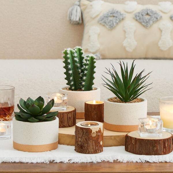 Unbranded 6.7 in. Green Indoor Artificial Succulent Plants in Ceramic Pots  Set of 3 DE7KFB