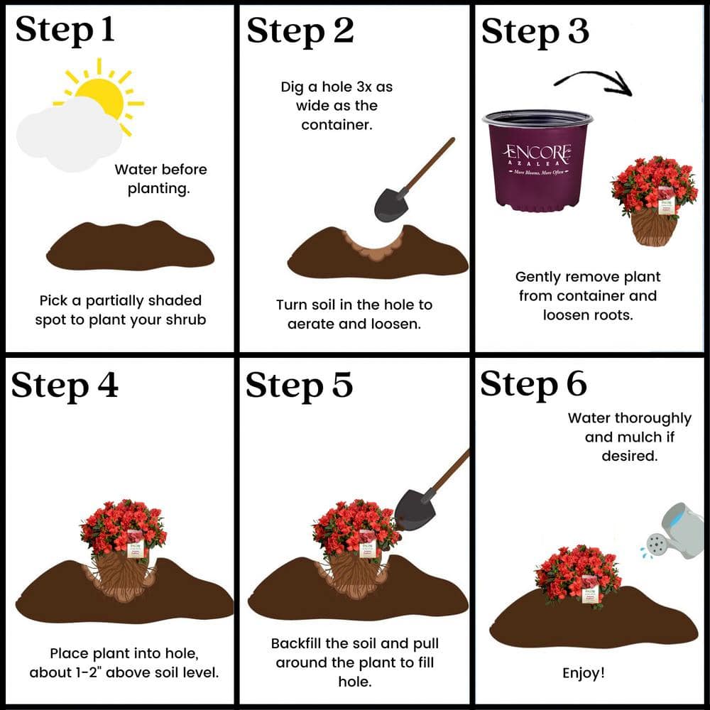 Autumn Embers Red-Orange Perennial Azalea Shrub in 2 Gallon Container