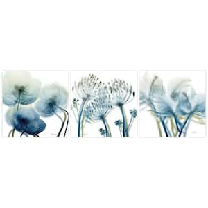 "Unfocused Beauty" Flower Unframed Free Floating Tempered Glass Panel Triptych Wall Art Print 24 in. x 24 in.