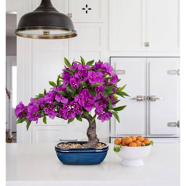 18.5 in. Artificial Bougainvillea Bonsai, Purple Silk Plant in Blue Pot for  Home and Desk Decor ENHD30777 - The Home Depot