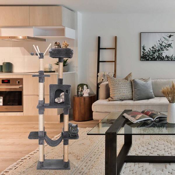 cat play climbing frame