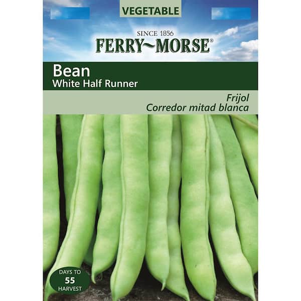 Ferry-Morse Bean White Half Runner Seed