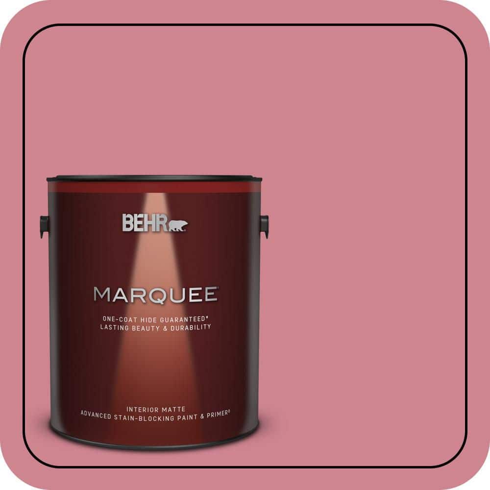 1 gal. #130D-4 Rose Sachet Matte Interior Paint & Primer price history on PriceWatchPro