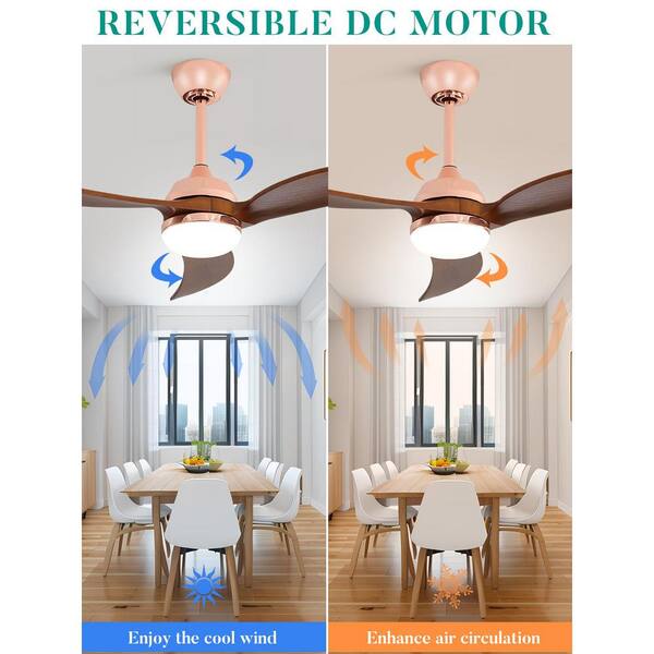 JOISTOON Retractable Blade Ceiling Fan With Light – Screws Into Light Socket, Remote Control, 3 Speeds, Dimmable