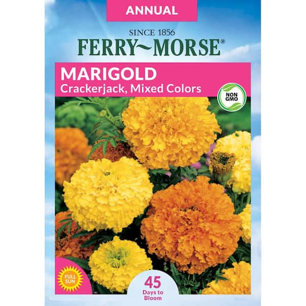 Marigold Crackerjack Mixed Colors Flower Seeds