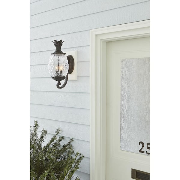 Lanai Collection 2-Light Black Coral Outdoor Wall Lantern Sconce