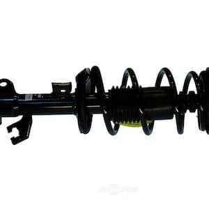 Suspension Strut and Coil Spring Assembly