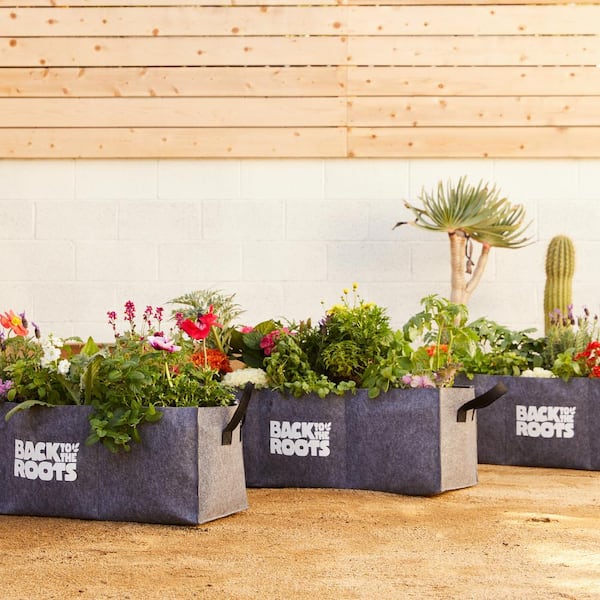 https://images.thdstatic.com/productImages/495d54ae-acdd-4800-ad3d-2b32a83f65ba/svn/gray-felt-back-to-the-roots-raised-planter-boxes-44003-fa_600.jpg