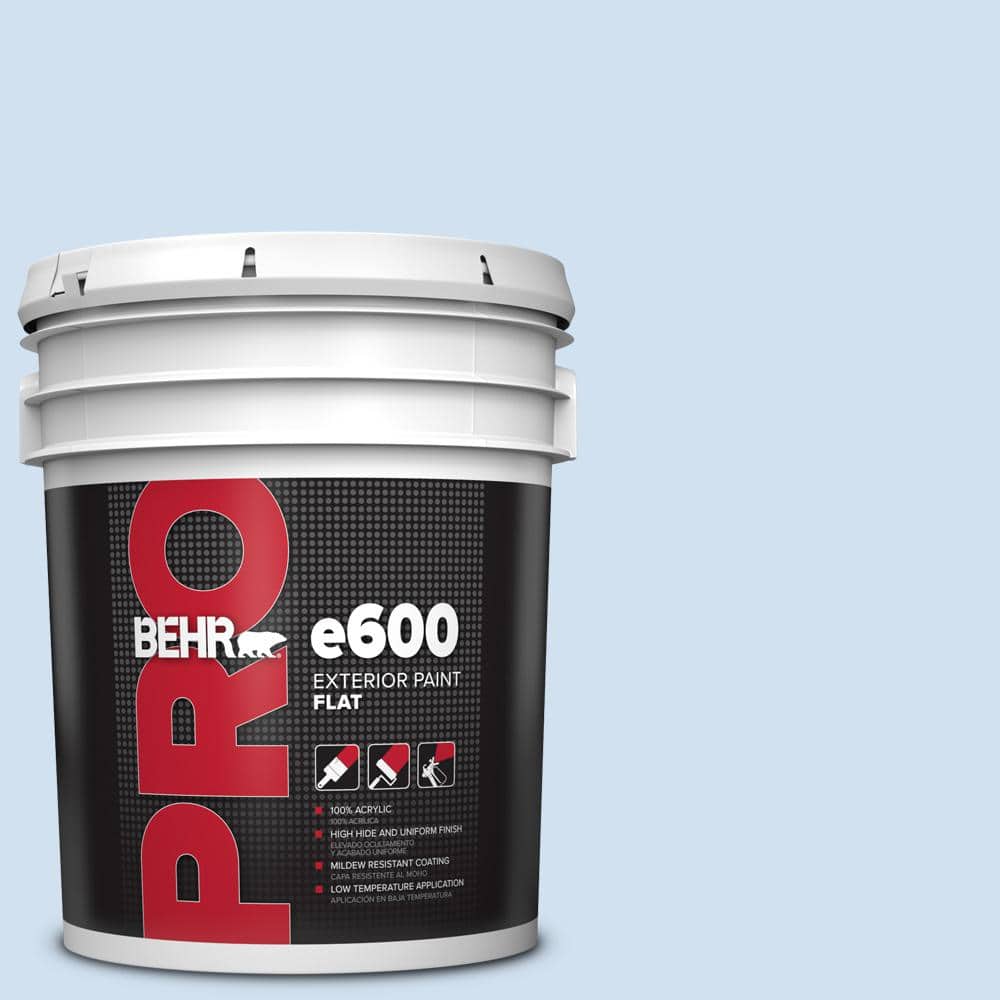 5 gal. #P530-1 Loyal Flat Exterior Paint price history on PriceWatchPro