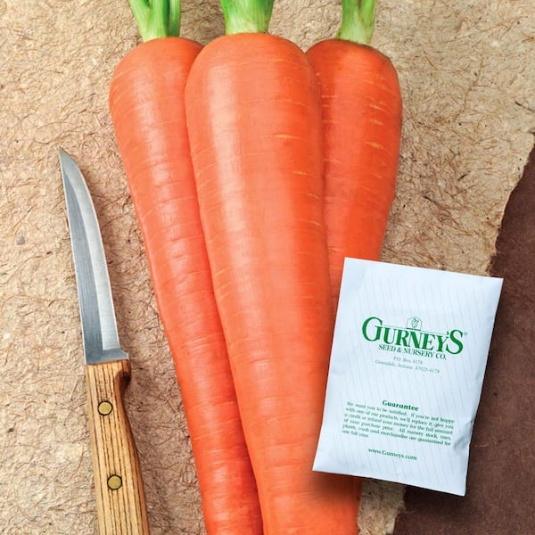 Gurney's Carrot Envy Hybrid (15 ft. Seed Tape) 69571 - The Home Depot