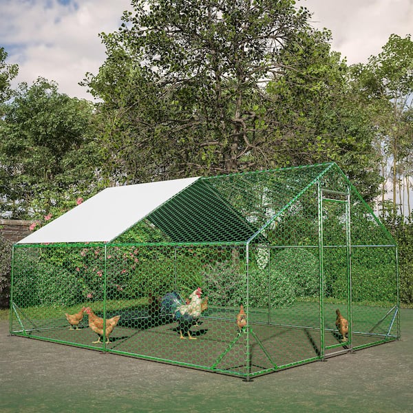 10 ft. x 13 ft. Large Galvanized Chicken Coop Metal Walk in Cage Farm Poultry Run Hutch Hen House