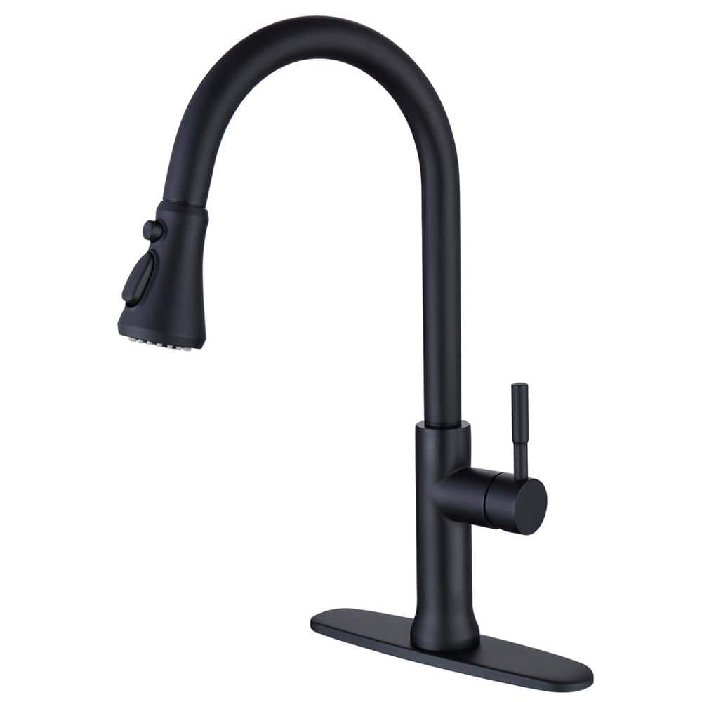 Boyel Living Single Handle Pull Down Sprayer Kitchen Faucet With Flexible  Hose and Deck Plate in Black BLKF20 20BL