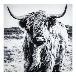 Highland Unframed Greyscale Animals Photography Wall Art 36 in. x 36 in.