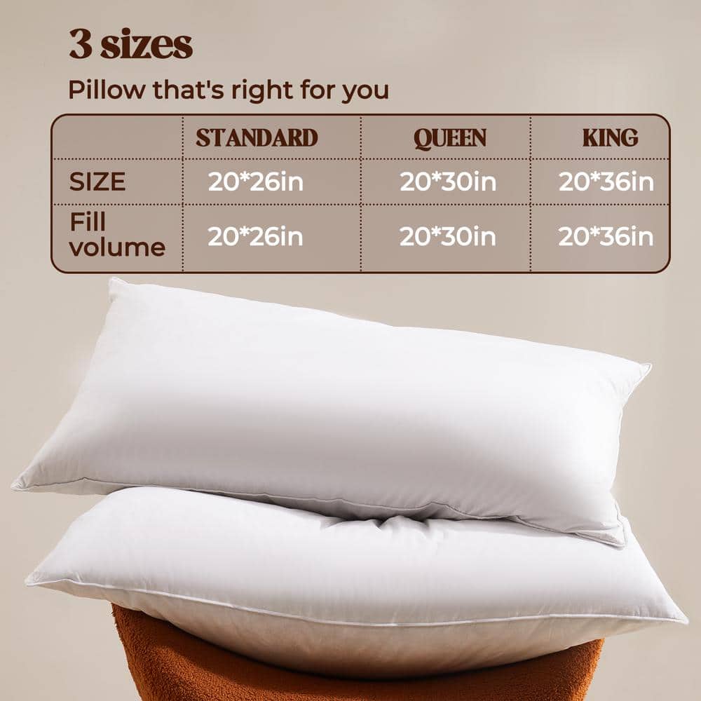 Luxurious White Goose Feather & Down Pillow Set, 100% Cotton Cover