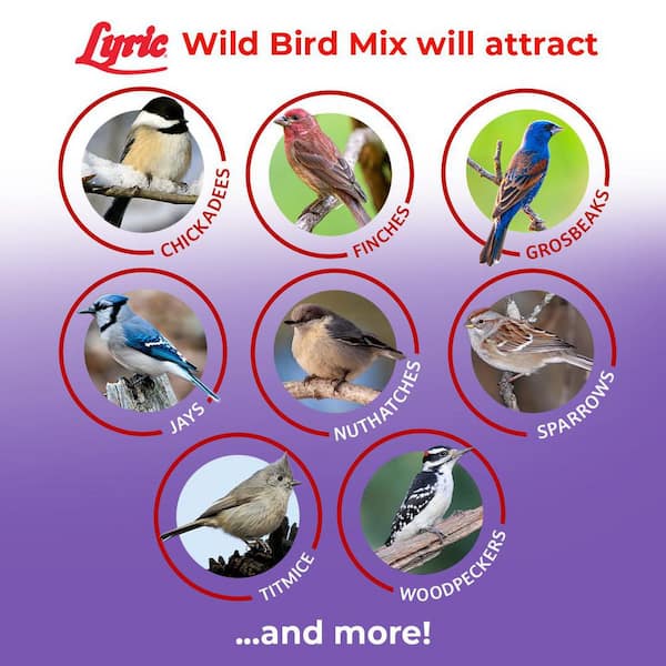 Lyric 20 lbs. Wild Bird Mix Bird Seed for Outside Feeders 2647339