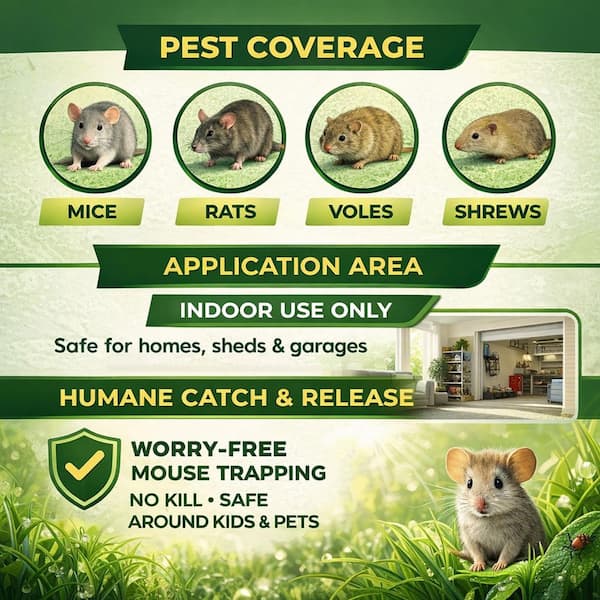 Black Fruit Fly Trap with Suction, Bug Light and 10 Sticky Glue Boards