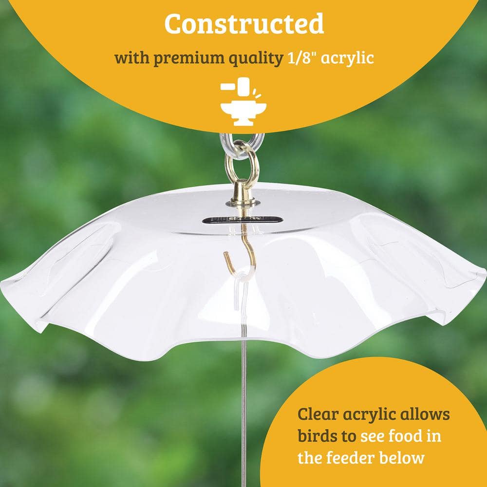 Clear Acrylic Hanging Seed Cylinder Bird Feeder