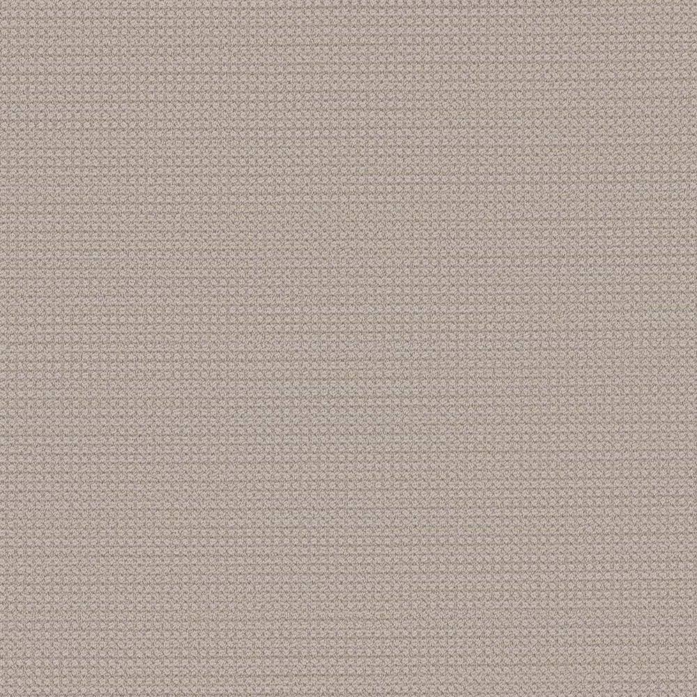 8 in. x  8 in. Loop Carpet Sample - Thornbrook -Color Casual price history on PriceWatchPro