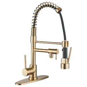 Single Handle 2-Spout Spring Pull Down Sprayer Kitchen Faucet with Lock in Gold