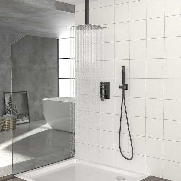 1-Spray Patterns with 2.5 GPM 16 in. Ceiling Mount Dual Shower Heads in Matte Black