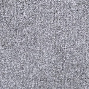 8 in. x 8 in. Texture Carpet Sample - Perfected II -Color Classy