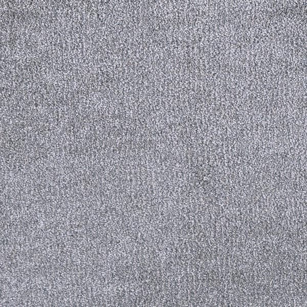 Home Decorators Collection 8 in. x 8 in. Texture Carpet Sample - Perfected II -Color Classy