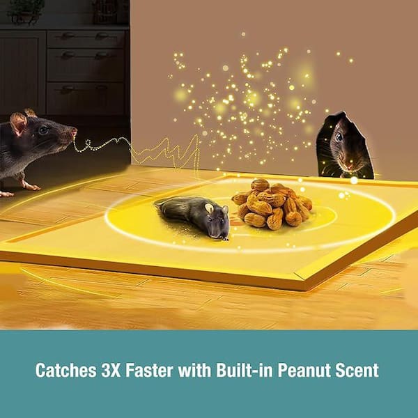 マーダック　3個 Geckobrands | Waterproof All Sport 32L Backpack