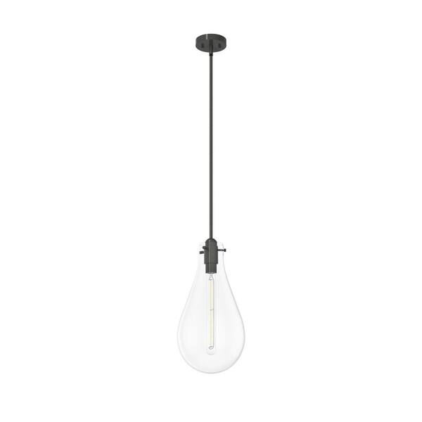 Hunter Lundin 1-Light Noble Bronze Bulb Pendant Light with Clear Glass Shade