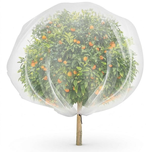 Oyezvary 6.9x8.5ft Insect Bird Barrier Netting for Fruit Trees and ...