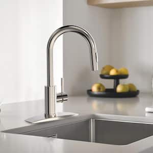 Single Handle Pull Down Sprayer Kitchen Faucet with Removable Deck Plate Swivel Spout in Brushed Nickel