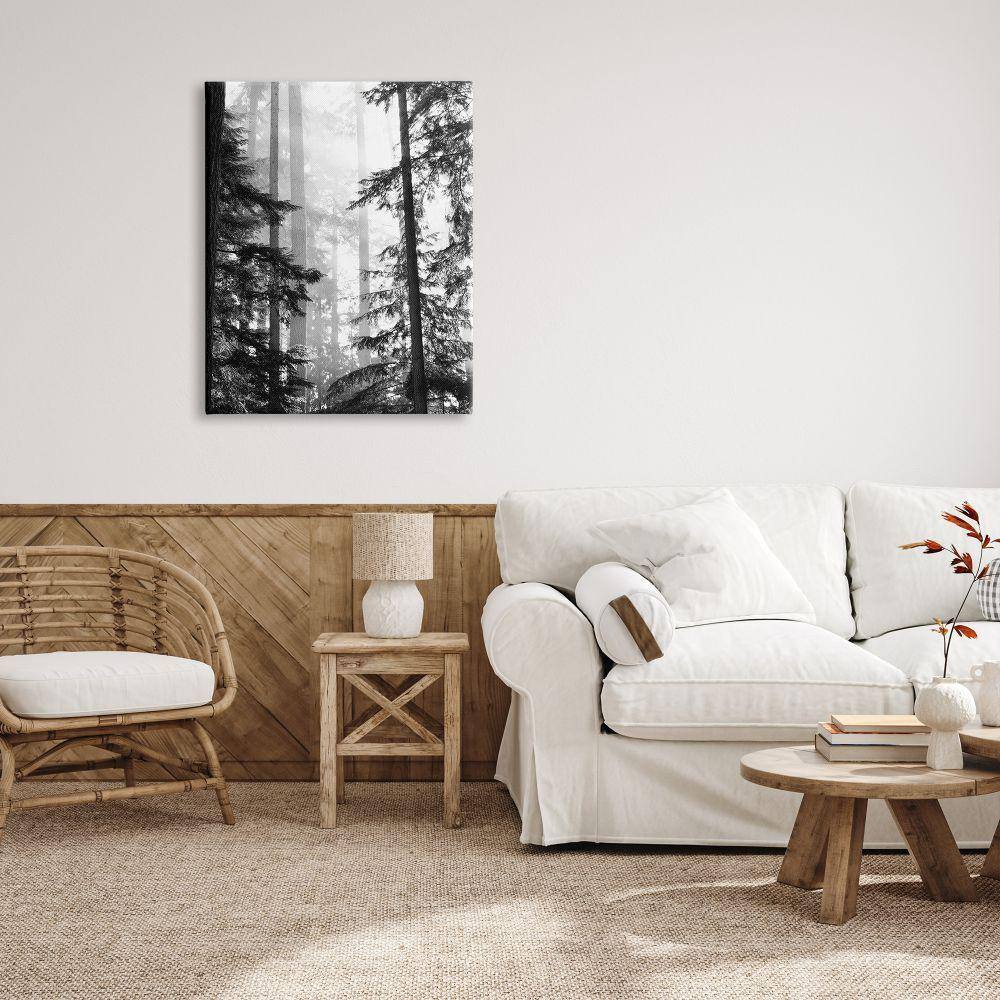 Forest Light Black and White Canvas Landscape Print