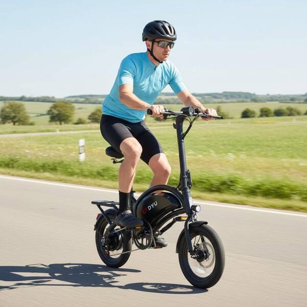 36 volt electric bicycle Zeus & Ruta 14 In. 350 W 36 V 7.8 A , 15 MPH Black Electric Bicycle