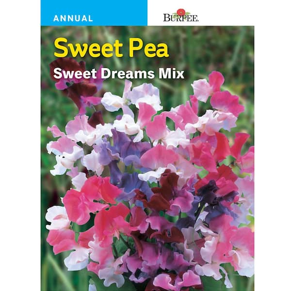 Burpee Sweet Pea Sweet Dreams Mix Seed