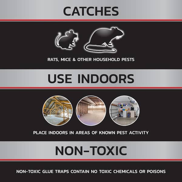 Large Rat and Mice Glue Traps (2-PacK)