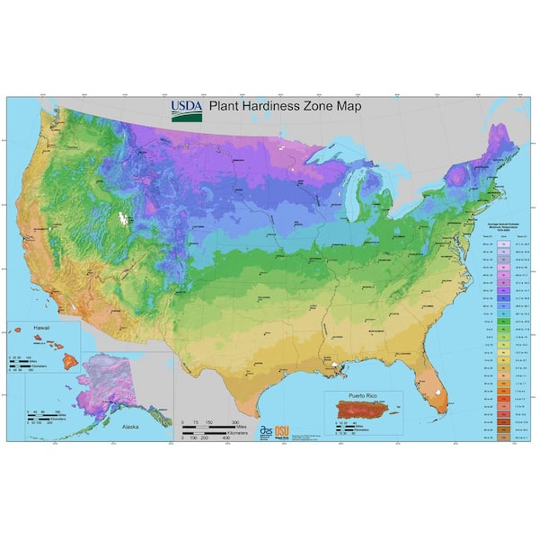 Find Your USDA Plant Hardiness Zone - The Home Depot