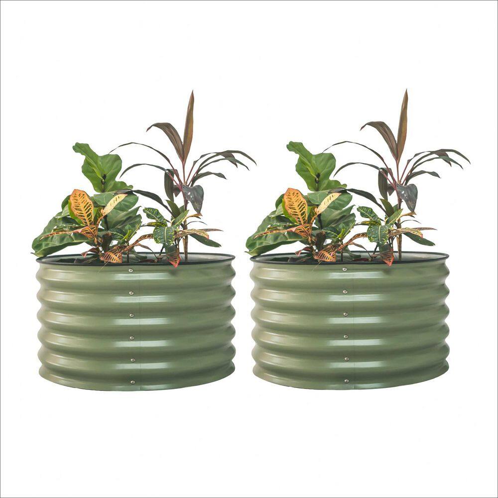 Twin Pack 17" Tall Berry Garden Bed 30" Wide Outdoor Metal Galvanized Gardening Bed Olive Green