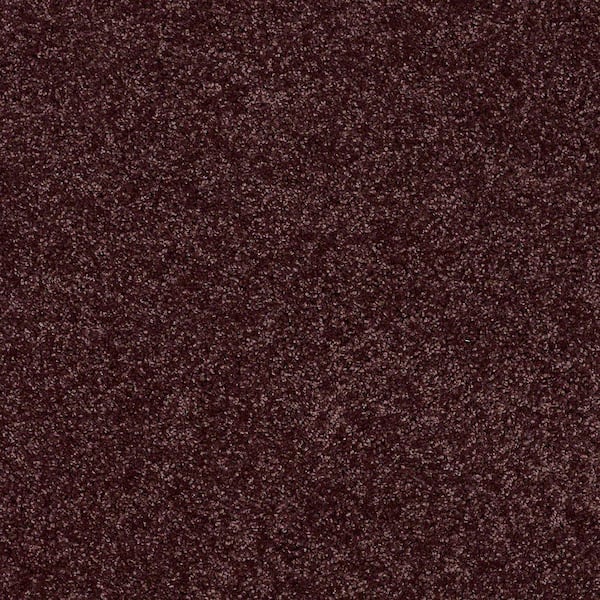 TrafficMaster 8 in. x 8 in. Texture Carpet Sample - Palmdale II - Color Grape Koolaid