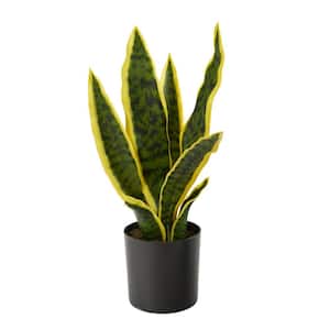 14 in. Sansevieria Artificial Plant