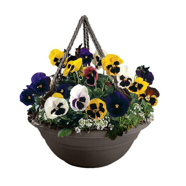 Bloem 17 in. Peppercorn Plastic Milano Hanging Basket (12-Pack)