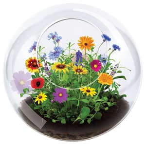 Classic Glass Clear Glass Wildflowers and Glass Indoor Garden Terrarium Indoor Garden Seed Starter Kit