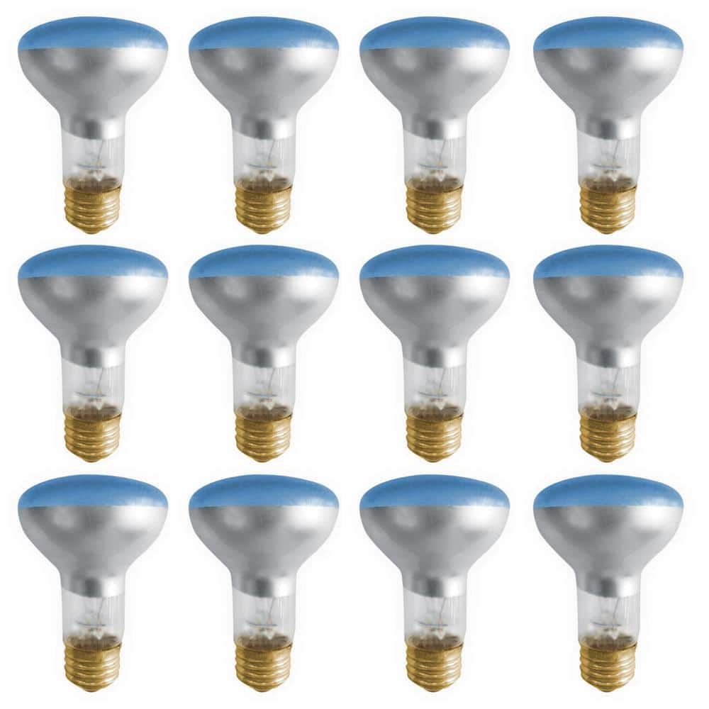 Bulbrite 50Watt R20 Plant Growth Dimmable Incandescent Light Bulb (12