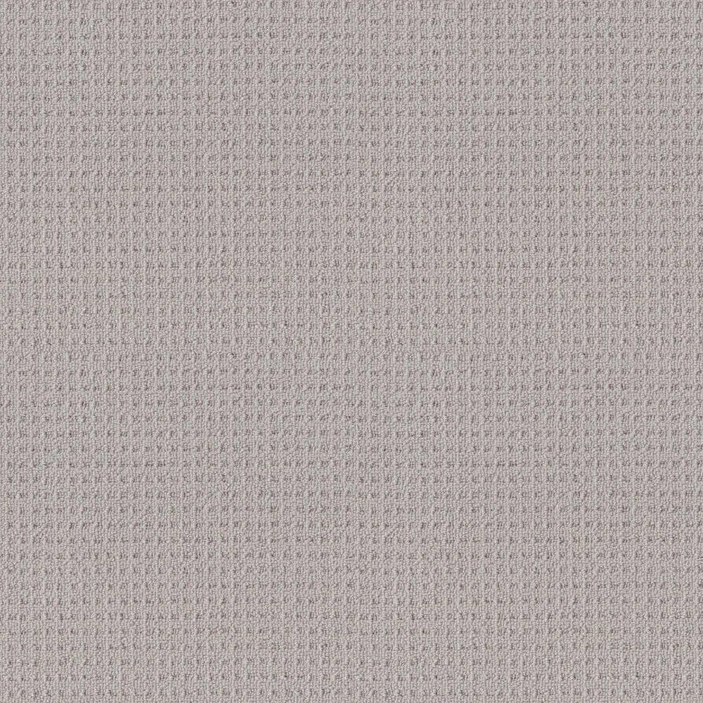 8 in. x 8 in. Loop Carpet Sample - Snug and Stylish - Color Fossil price history on PriceWatchPro