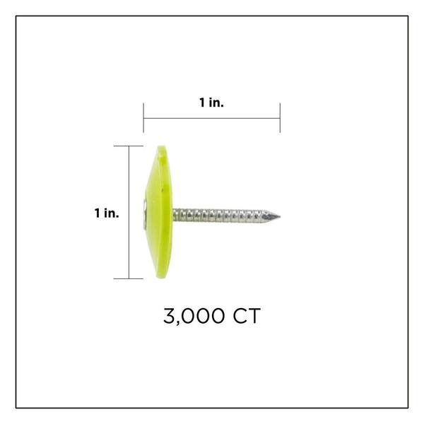 1 in. (2D) Electro Galvanized Ring Shank Nail with Plastic Cap (3000-Count)